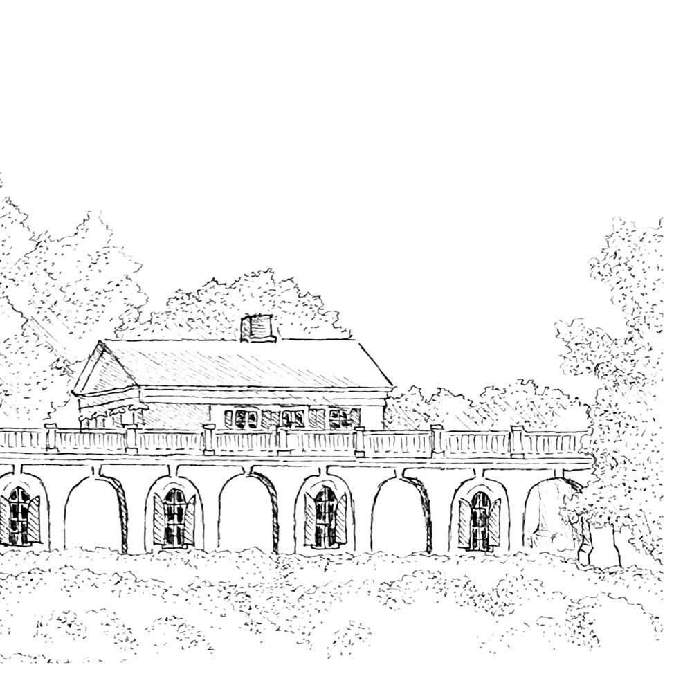 University of Virginia Rotunda Print: UVA Art in Watercolor or Pen and Ink